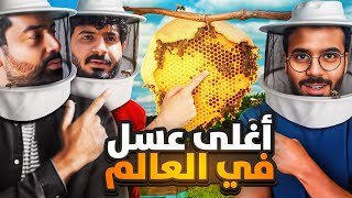 تحدي تسلق و استخراج اغلى عسل في العالم 🍯 | العسل الجبلي ☠️ منطقة الفقرة السعودية 🇸🇦