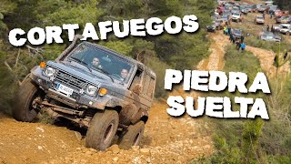 Especial PIEDRA SUELTA 🏔 | AVERÍA en Cortafuegos 🛠 II Ruta Palazuelos de La Sierra