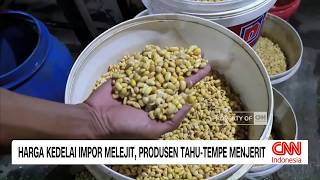 Siap-siap, Harga Tahu-Tempe Akan Naik Imbas Perang Timur Tengah