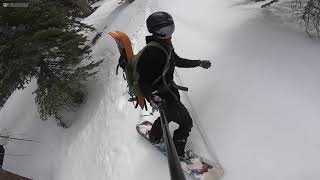 Weston Spruce 2021 Women's Snowboard Review