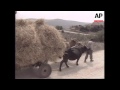 KOSOVO: FIGHTING CONTINUES BETWEEN SERB FORCES & KLA