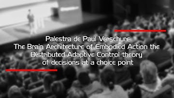 The Brain Architecture of Embodied Action the Distributed Adaptive Control theory of decisions at a