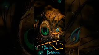 Aaji akase ki ranga lagila..odia song status //krishna status// flute ringtone.....πΌπΆπΆπΆ.......π