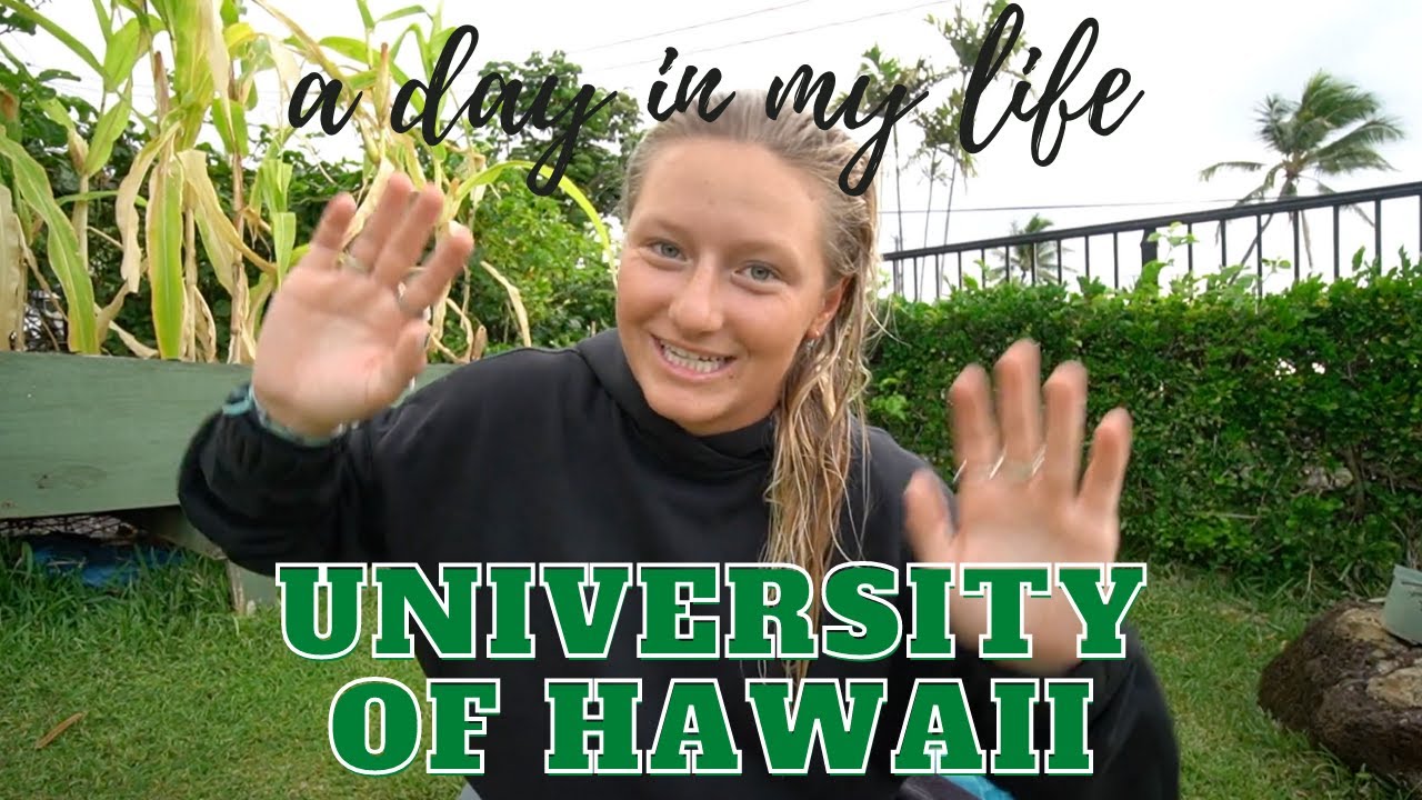 A School Day In My Life University Of Hawaii YouTube A School Day In My Life University Of Hawaii YouTube