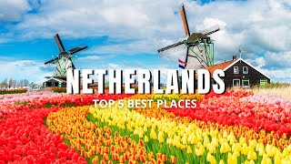 Top 5 Netherlands Best Cities | 4K