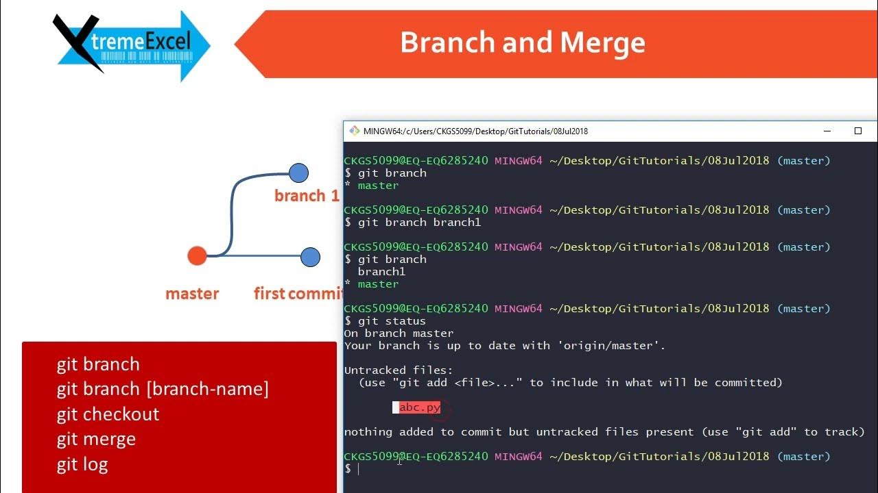 Branch management. Branch management