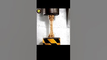 Human bone vs Hydraulic press 💥 #shorts #facts #shortsfeed