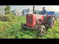 Mahindra 575 di goes to put groundnut on farmland in tractor  mohantractorslife