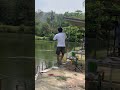 ค่าคัน70 กับบึกไซต์สวยๆครับน้า #ปลาบึก #ตกปลา #fishing