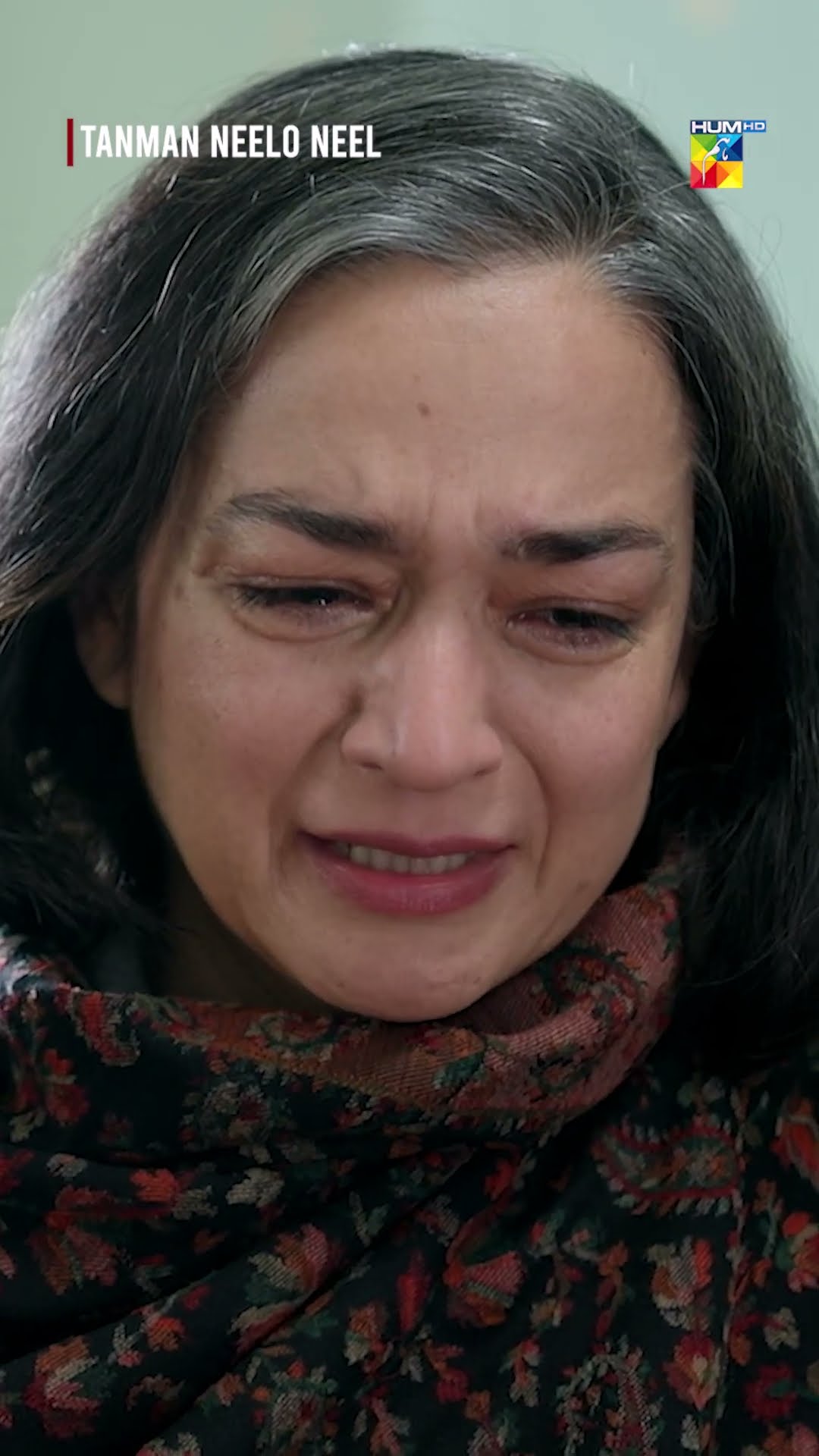 Mein Ehsaan Ko Kabhi Maaf Nahi Karoun Gein..!! #shorts #seharkhan #shujaasad #tanmanneeloneel #humtv