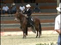 Mulares copa antioquia 2012