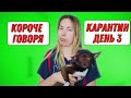 КОРОЧЕ ГОВОРЯ, КАРАНТИН ДЕНЬ 3 | Дерзкий щенок