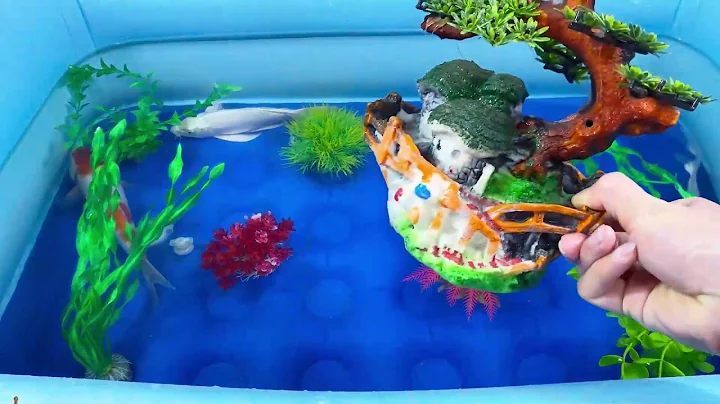 Let's explore what fish and sea creatures there are:sharks,jellyfish#goldfish#animals#viral videos