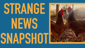 Sooooooooooooo Many Chicken Bones