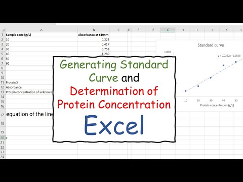 Generating Standard Curve and Determination of Protein Concentration in Excel