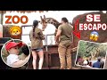 PRIMERA VEZ EN EL ZOOLOGICO 🦁 ⎪SE ESCAPO UN ANIMAL 😱