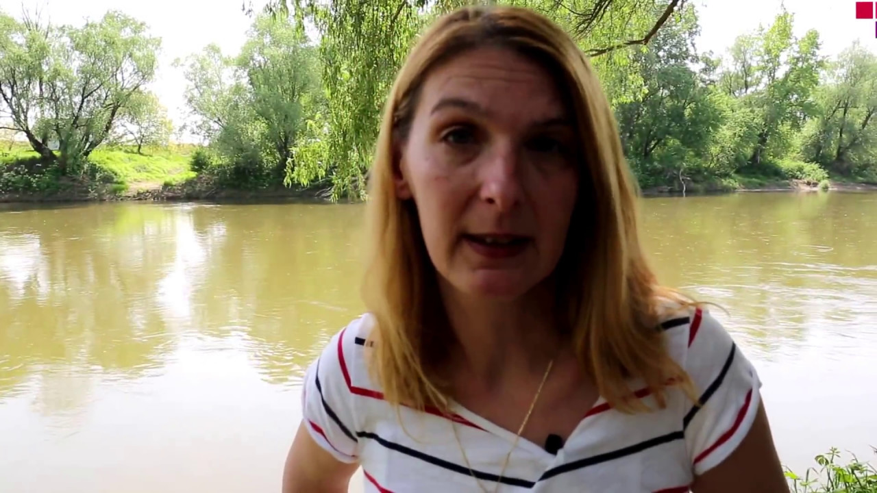 Szamos a holt folyó   HD