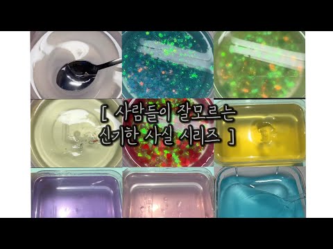 [ 사람들이 잘모르는 신기한 사실 시리즈😆 ] #믿거나말거나/#대규모시리즈