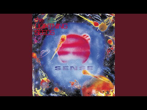 Sense - The Lightning Seeds