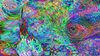Van Googh on ACMX2 + Deep Dream