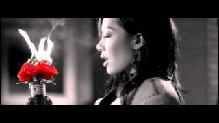 [M/V] 살찐 사랑 (Excessive Love) - 제시(Jessi)