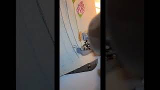 Patience Zipper Pocket Insert for Travelers Notebook