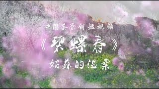 碧螺春 - 姑苏的温柔 | 中国茶原创短视频 Biluochun-The mildness of Gusu—   Chinese Tea  Original video clips