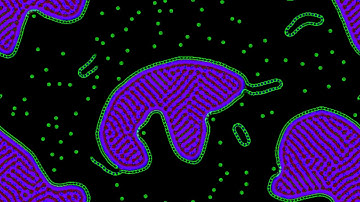 Compilation of Cross-Channel Selective Multiple Neighborhood Cellular Automata