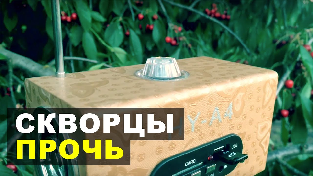 ультразвуковой отпугиватель самодельный ультразвуковой отпугиватель самодельный