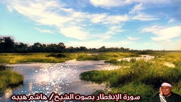 سورة الإنفطار بصوت الشيخ/ هاشم هيبه - Surat Al Infitar
