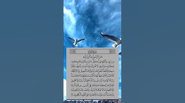 (سورة البقرة)»[285]»[286]