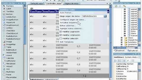 20.- Curso VWD y ASP.NET 2. Usar Controles de Datos