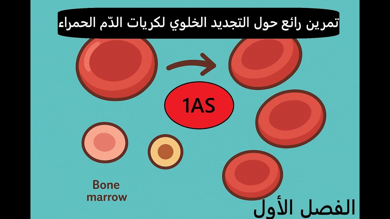 تمرين رائع حول التجديد الخلوي  لكريات الدم الحمراء 1 ج م ع ت