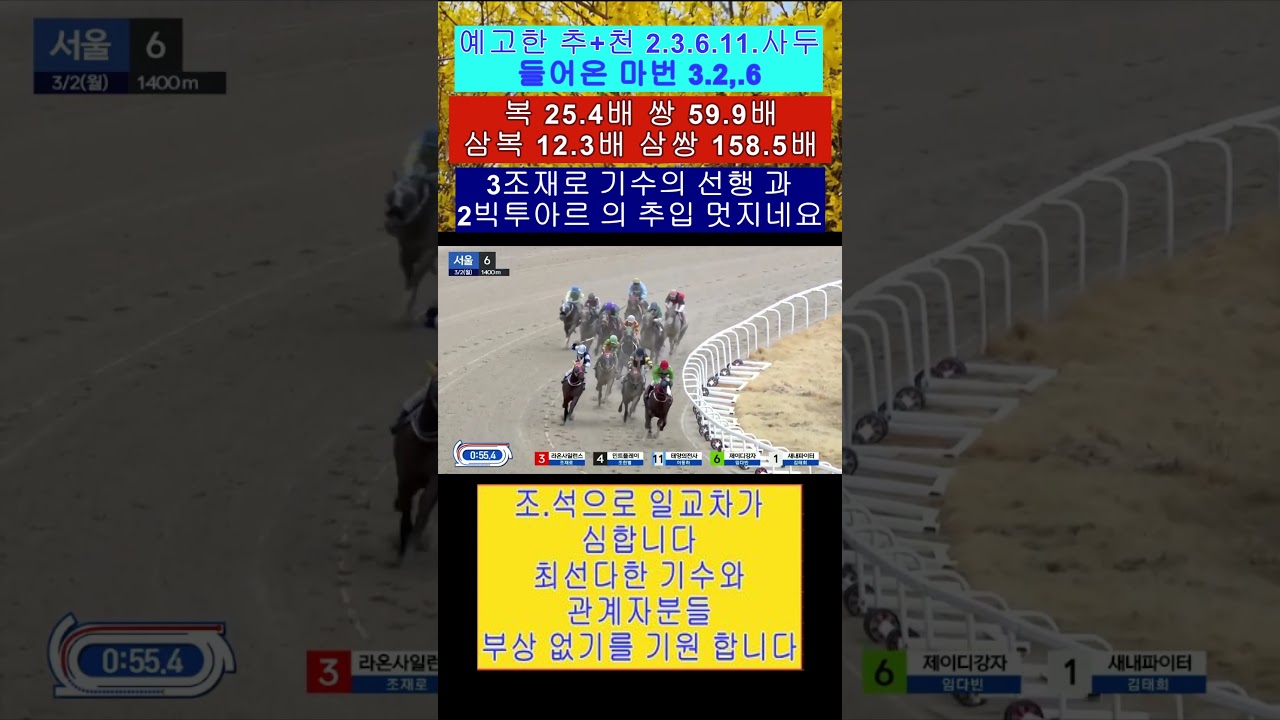 예고한 추+천 삼쌍 999.들어오는 영상보기 3축에 2.6.11.총 사두