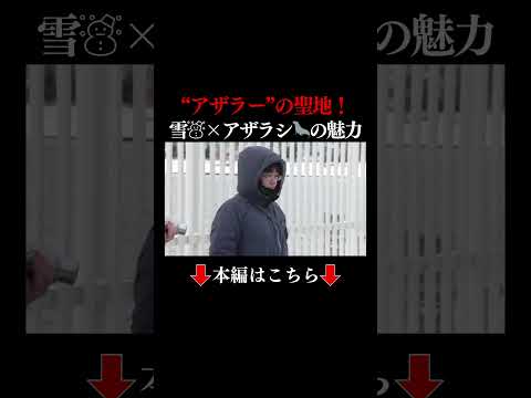👆本編はこちら👆アザラシ愛する「アザラー」が急増中 保護施設観光も人気に 【2025年注目】
