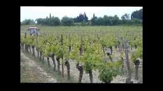 Traitement dans les vignes en mai 2014