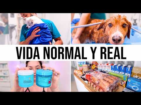 Vlog - Compra Mercadona + Series + 🚿 Ducha en casa a los peludos