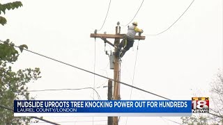 Mudslide Uproots Tree Knocking Power Out For Hundreds