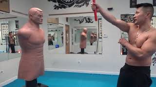 Kung Fu Nunchaku Striking Techniques