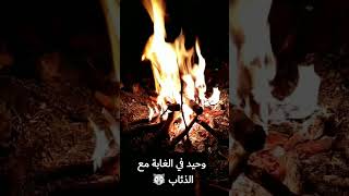 كنت لوحدي في الغابة  وسمعت صوت الذئب #2023 #shorts #fire