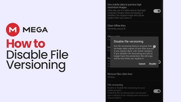 How To Disable File Versioning On Mega