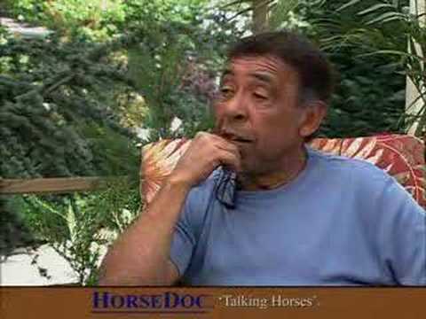 HorseDoc 'Talking Horses' Angel Cordero Jr PART 3