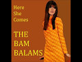 The bam balams  here she comes 1988