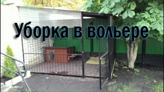 Уборка в вольере