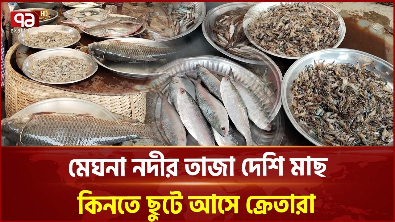 মেঘনা নদীর তাজা দেশি মাছ কিনতে ছুটে আসে ক্রেতারা | Fresh Fish | Fish Market | Ekattor TV
