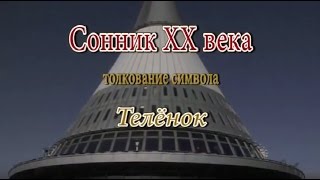 К чему снится Теленок сонник, толкование сна К чему снится Теленок сонник, толкование сна