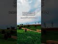 bukankah begitu saudara-saudara#storyjowo #katakata #jowopride