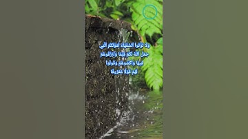 سورة النساء ٠٤:٠٥ ترجمة القرآن الكريم تلاوة جميلة