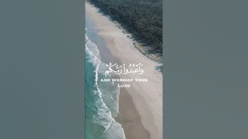 تلاوة هادئة من سورة الحج❤️القارئ عبدالرحمن مسعد🎧