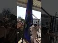 #khatushyam